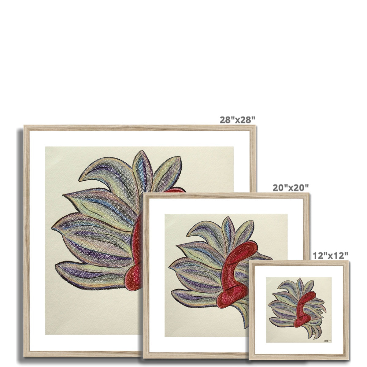 Crown | Framed & Mounted Print