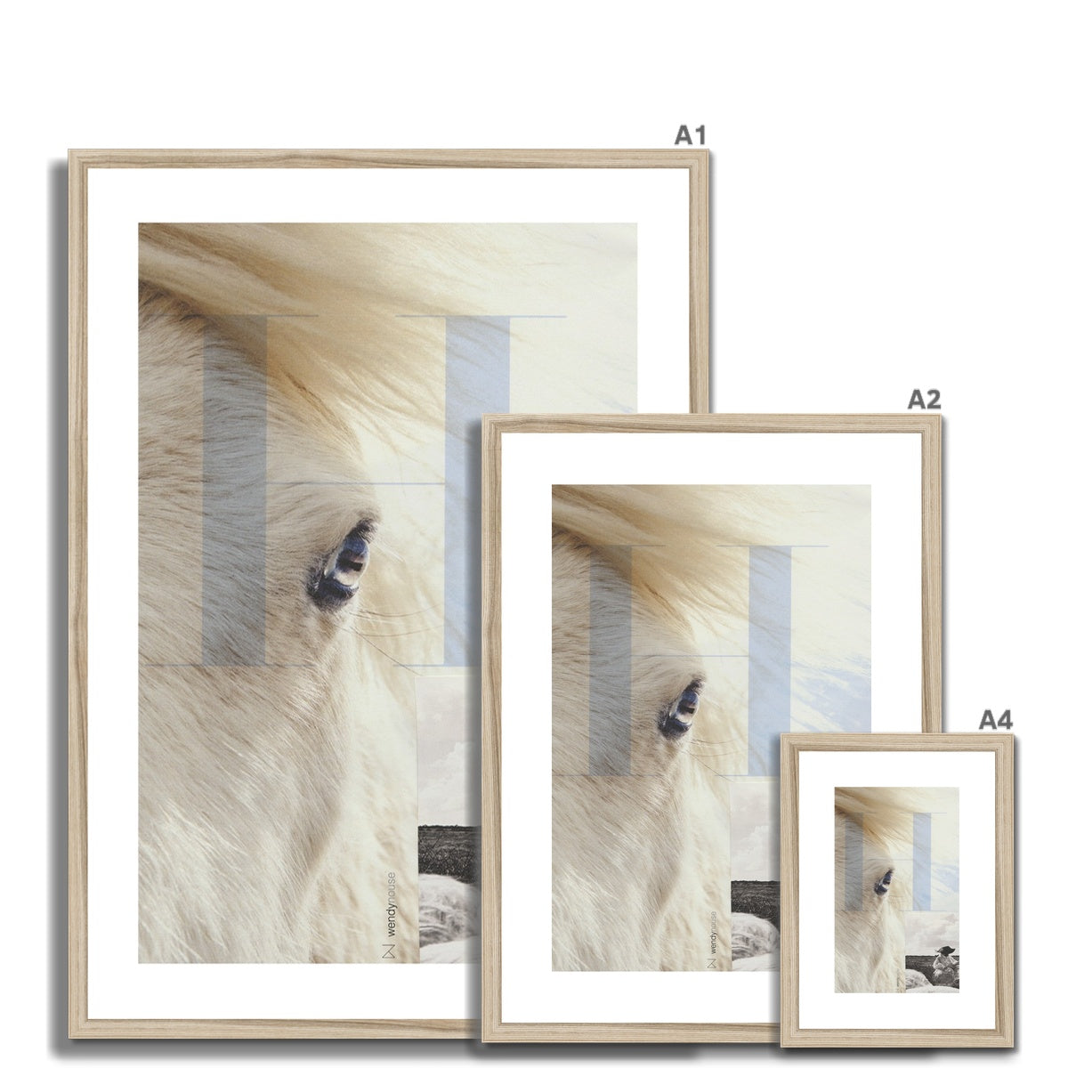 Home | Framed & Mounted Print