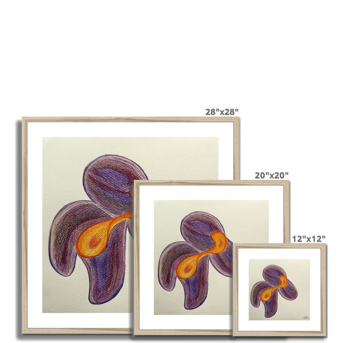 Solar | Framed & Mounted Print