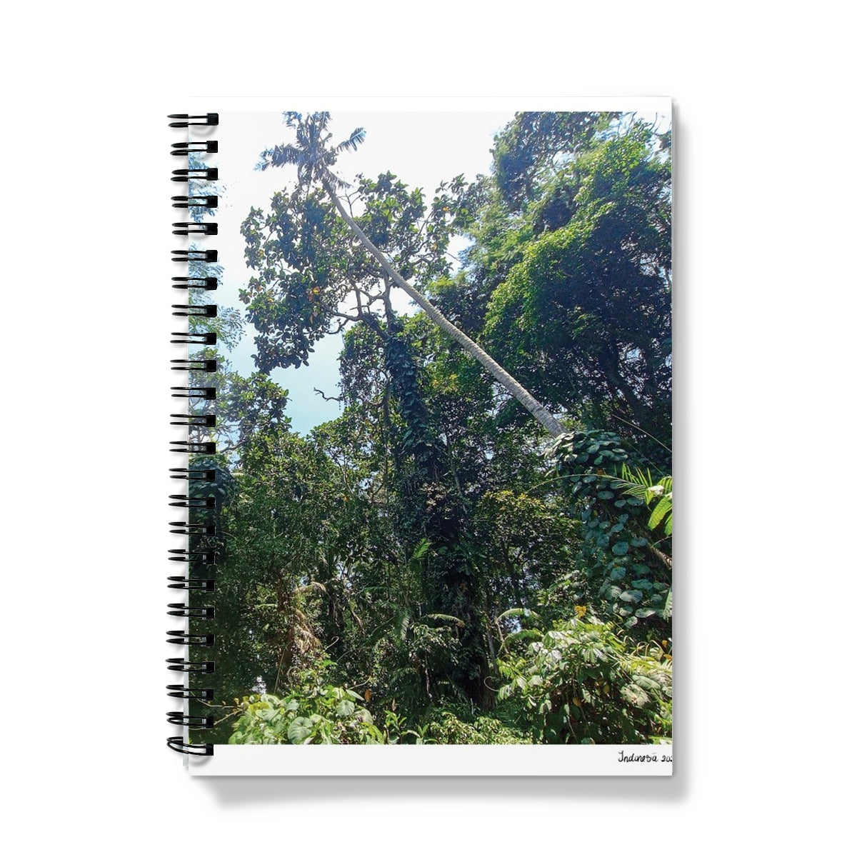 image2