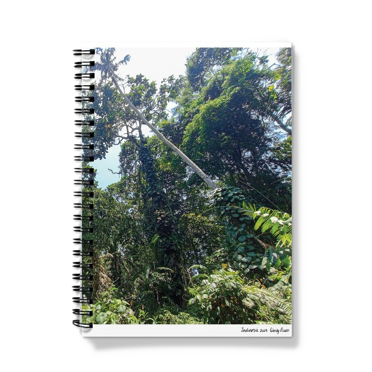 image1