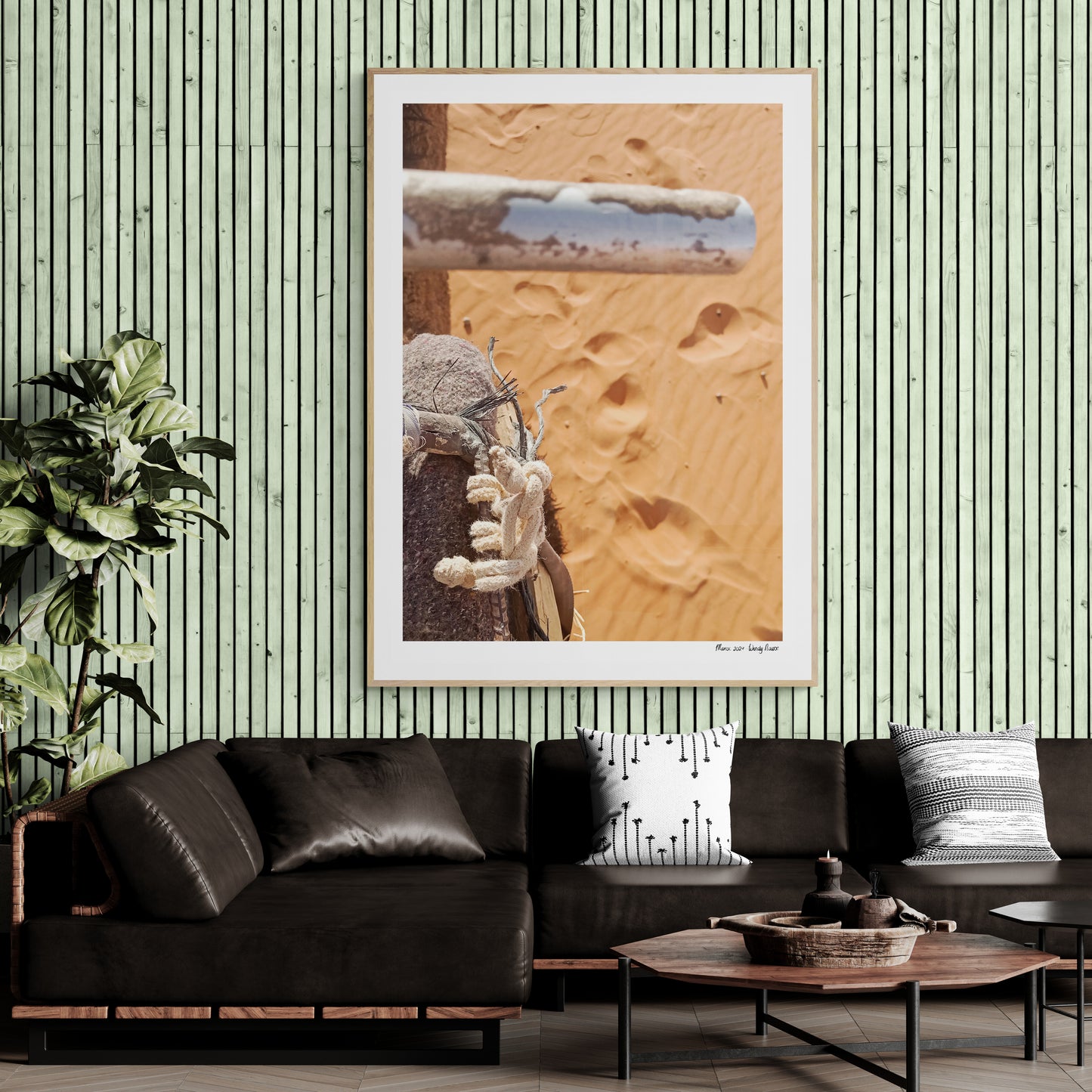 Camel Ride | Framed & Mounted Print