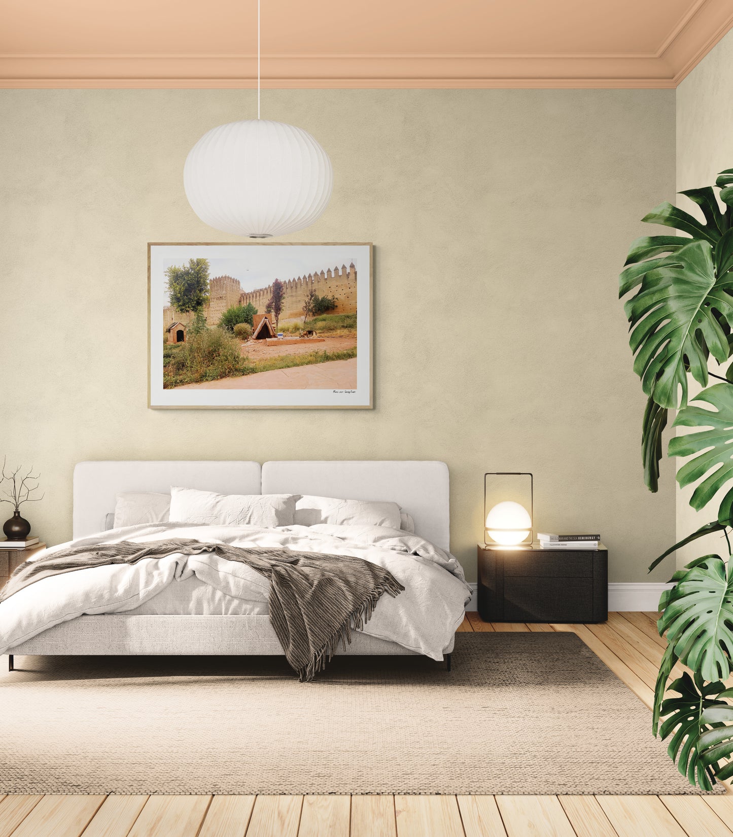 Dog House Fez | Framed & Mounted Print