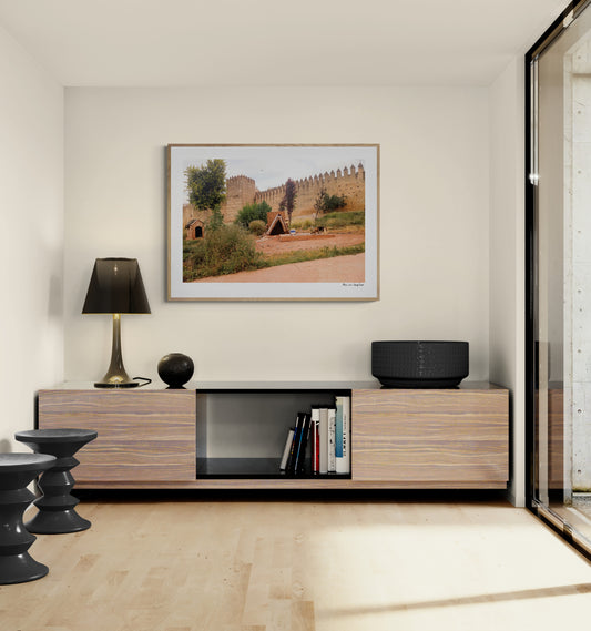 Dog House Fez | Framed & Mounted Print