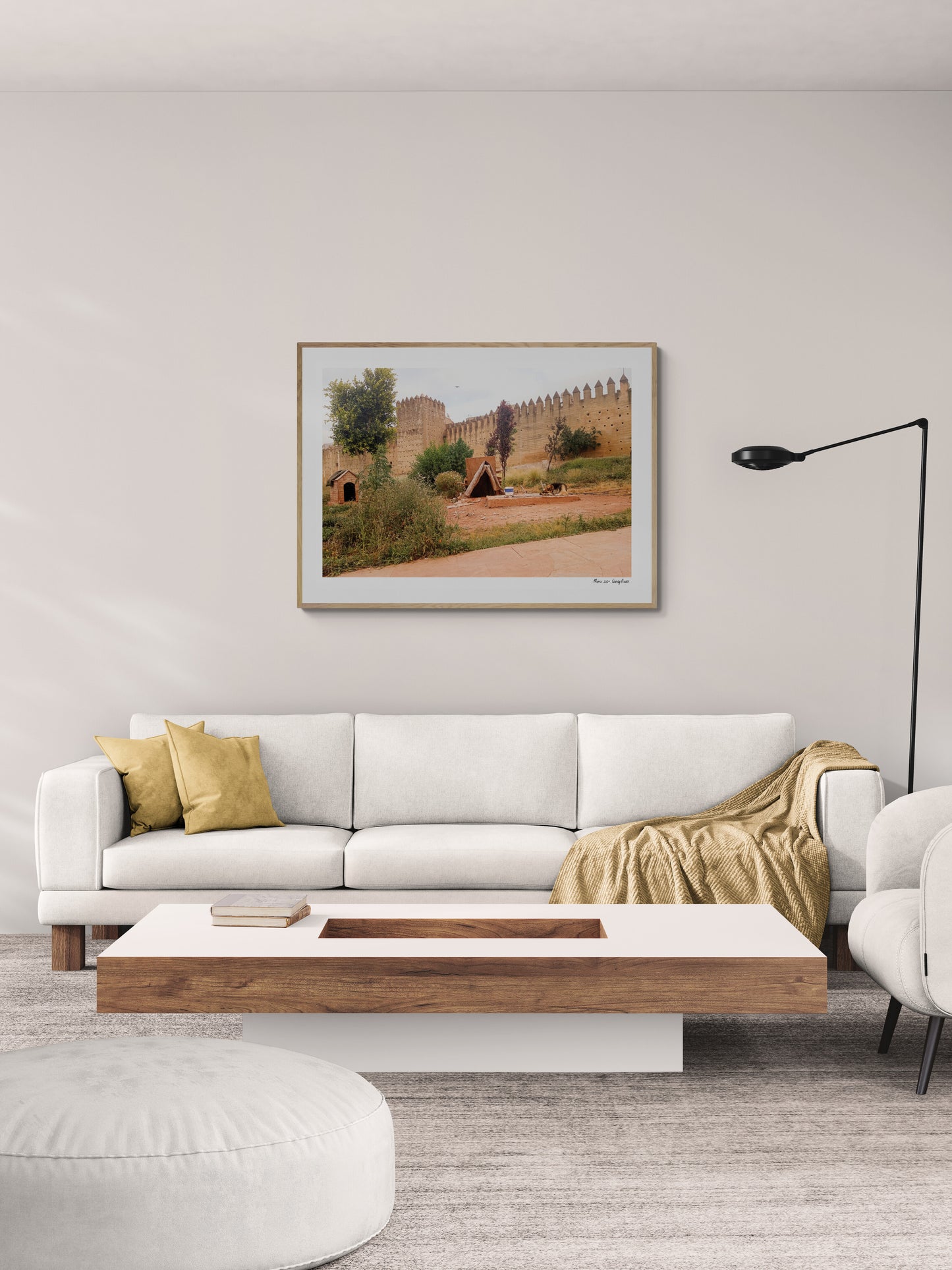 Dog House Fez | Framed & Mounted Print