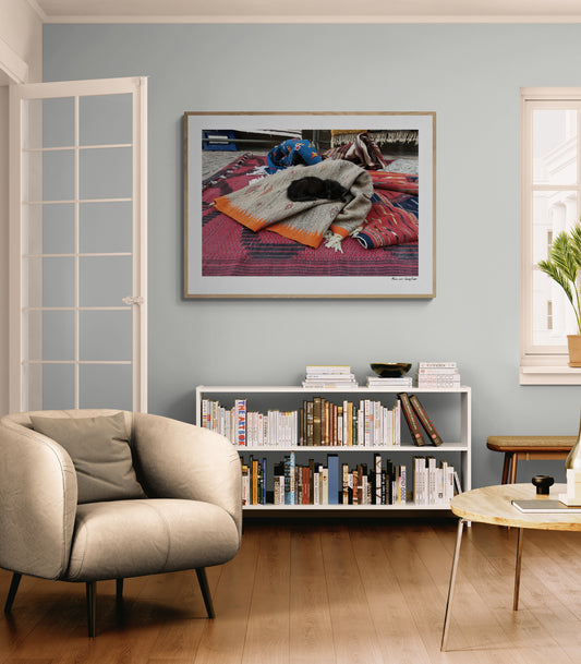 Sleeping cat | Framed & Mounted Print