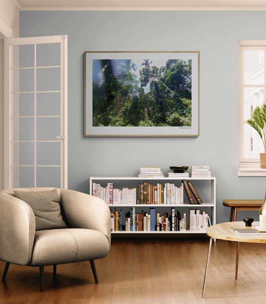 Jungle |  Framed & Mounted Print