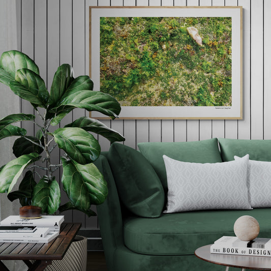 Sea floor |  Framed & Mounted Print