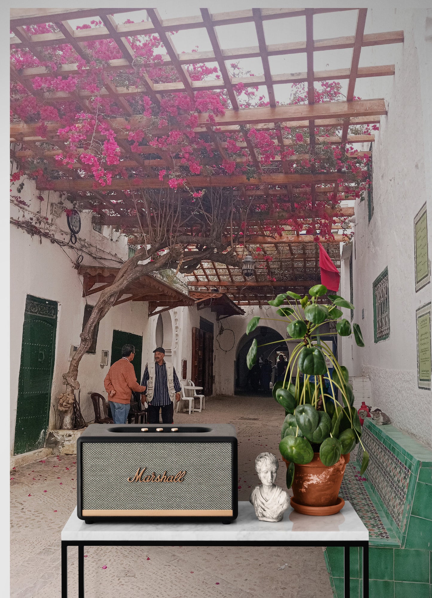 Flowers Tetouan | Framed & Mounted Print