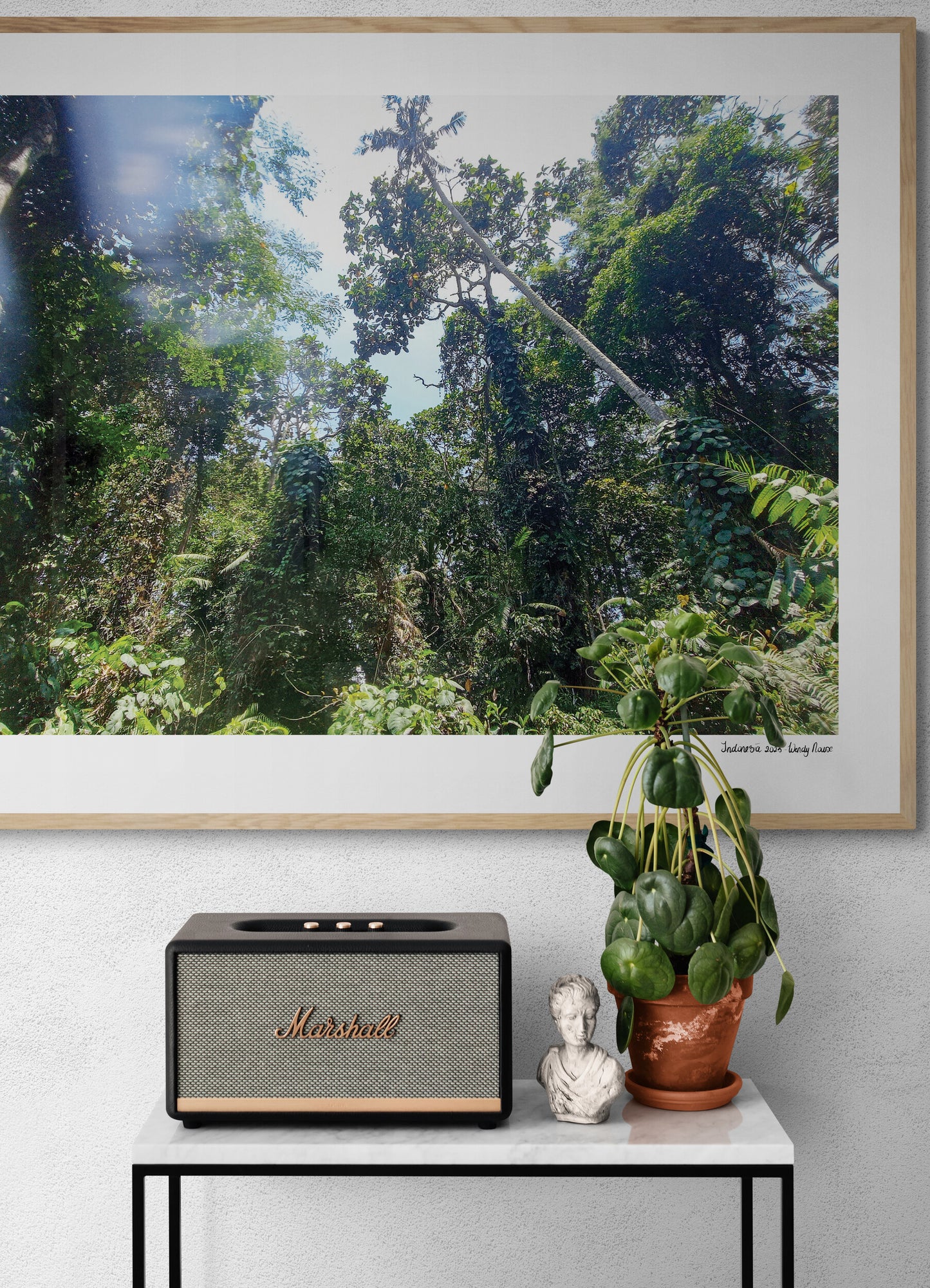 Jungle |  Framed & Mounted Print