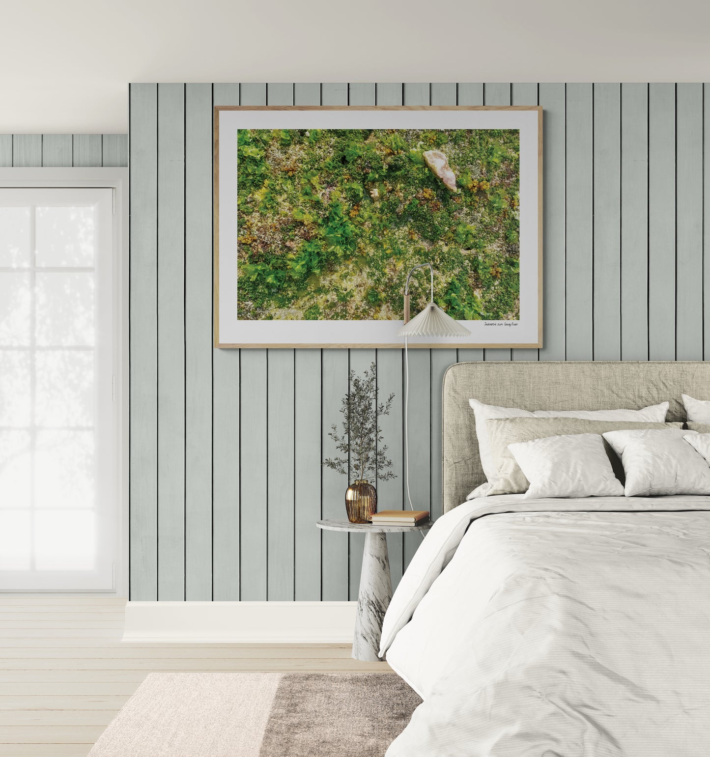 Sea floor |  Framed & Mounted Print