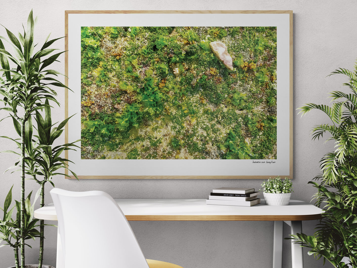 Sea floor |  Framed & Mounted Print