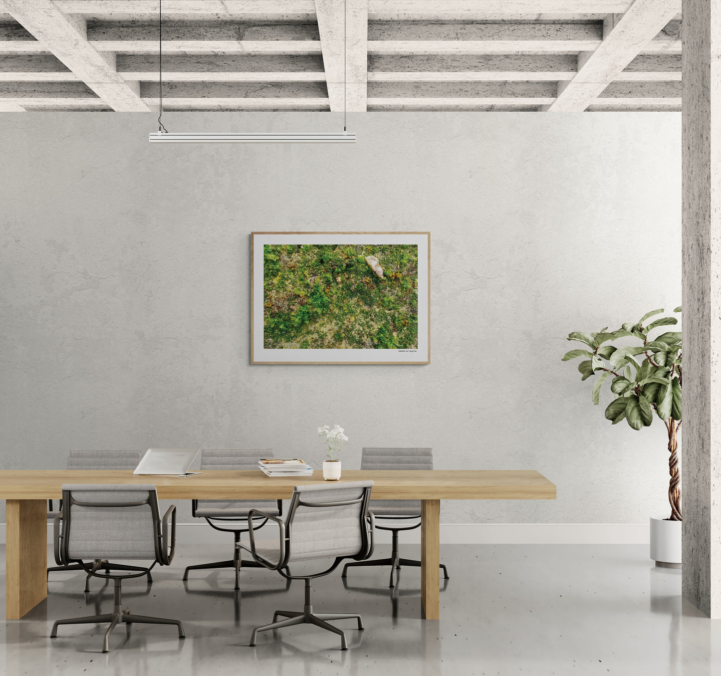 Sea floor |  Framed & Mounted Print