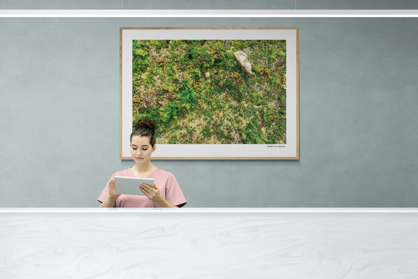 Sea floor |  Framed & Mounted Print