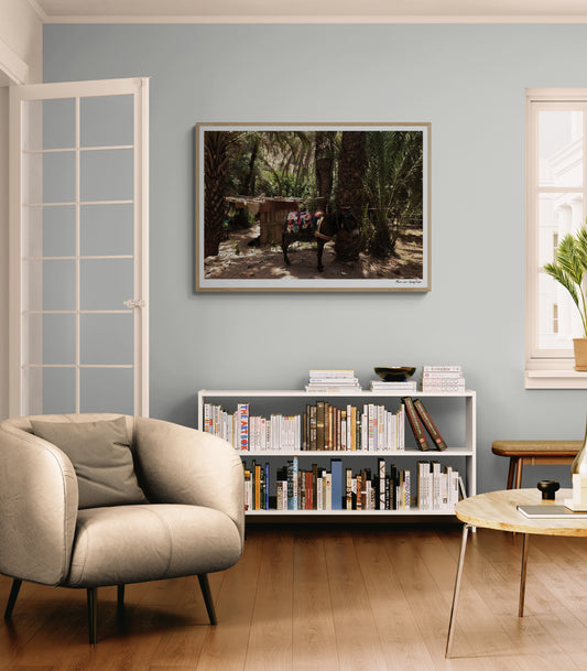 Traditional donkey |  Framed & Mounted Print