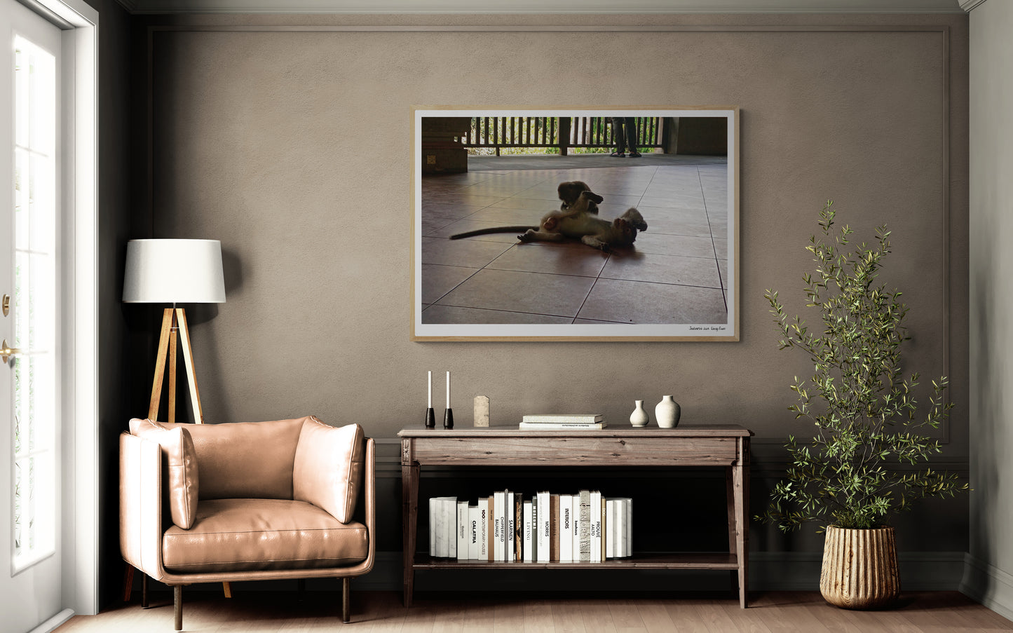 Monkeys |  Framed & Mounted Print