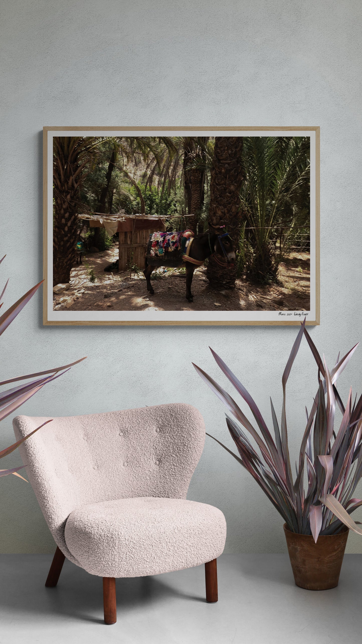 Traditional donkey |  Framed & Mounted Print