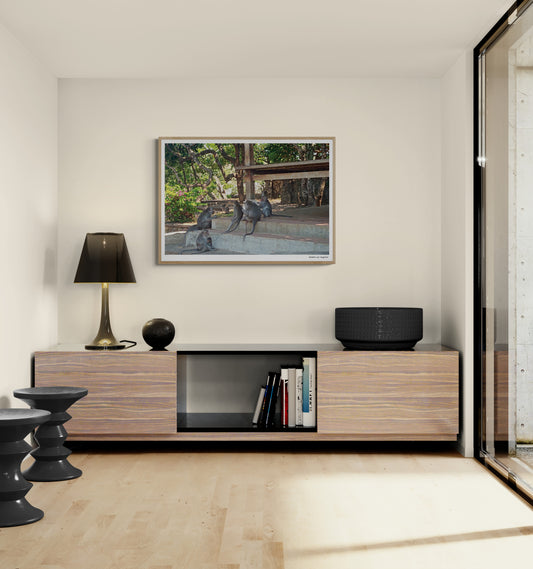 Monkey family | Framed & Mounted Print