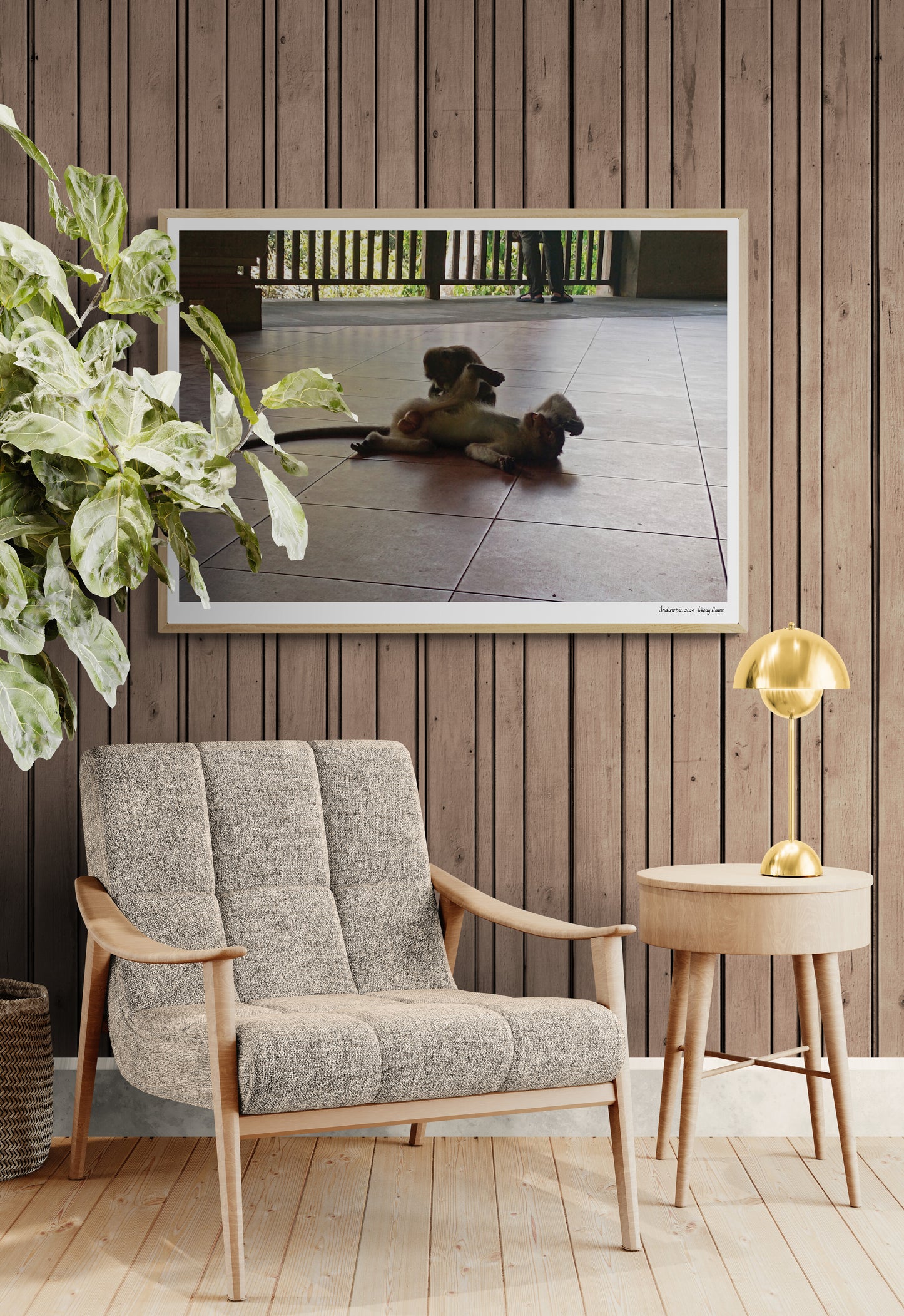 Monkeys |  Framed & Mounted Print