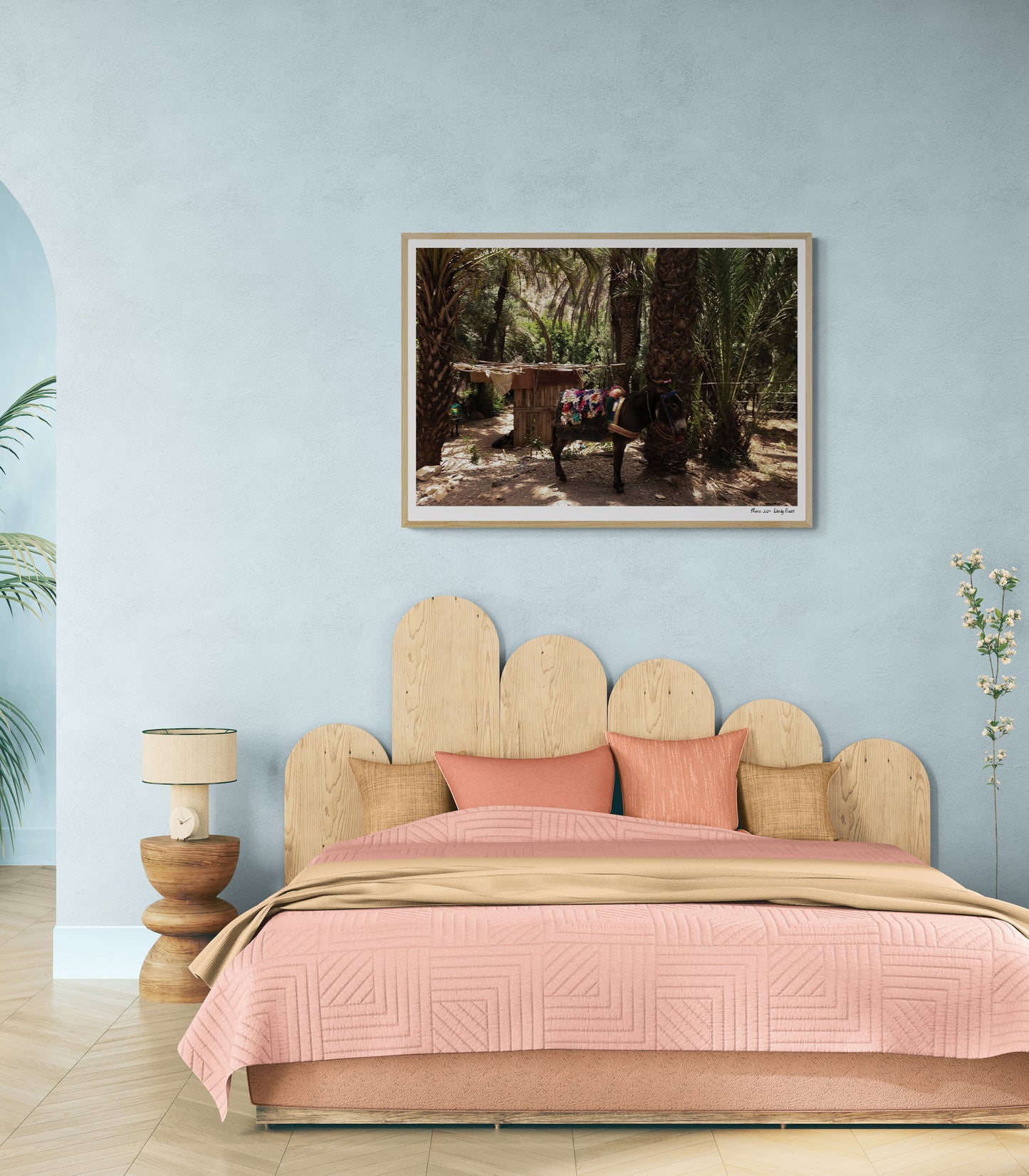 Traditional donkey |  Framed & Mounted Print