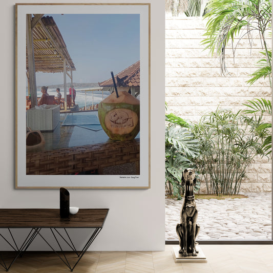 Coconut |  Framed & Mounted Print