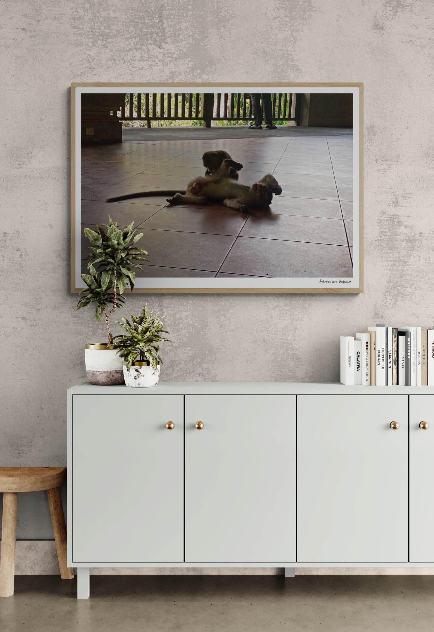 Monkeys |  Framed & Mounted Print