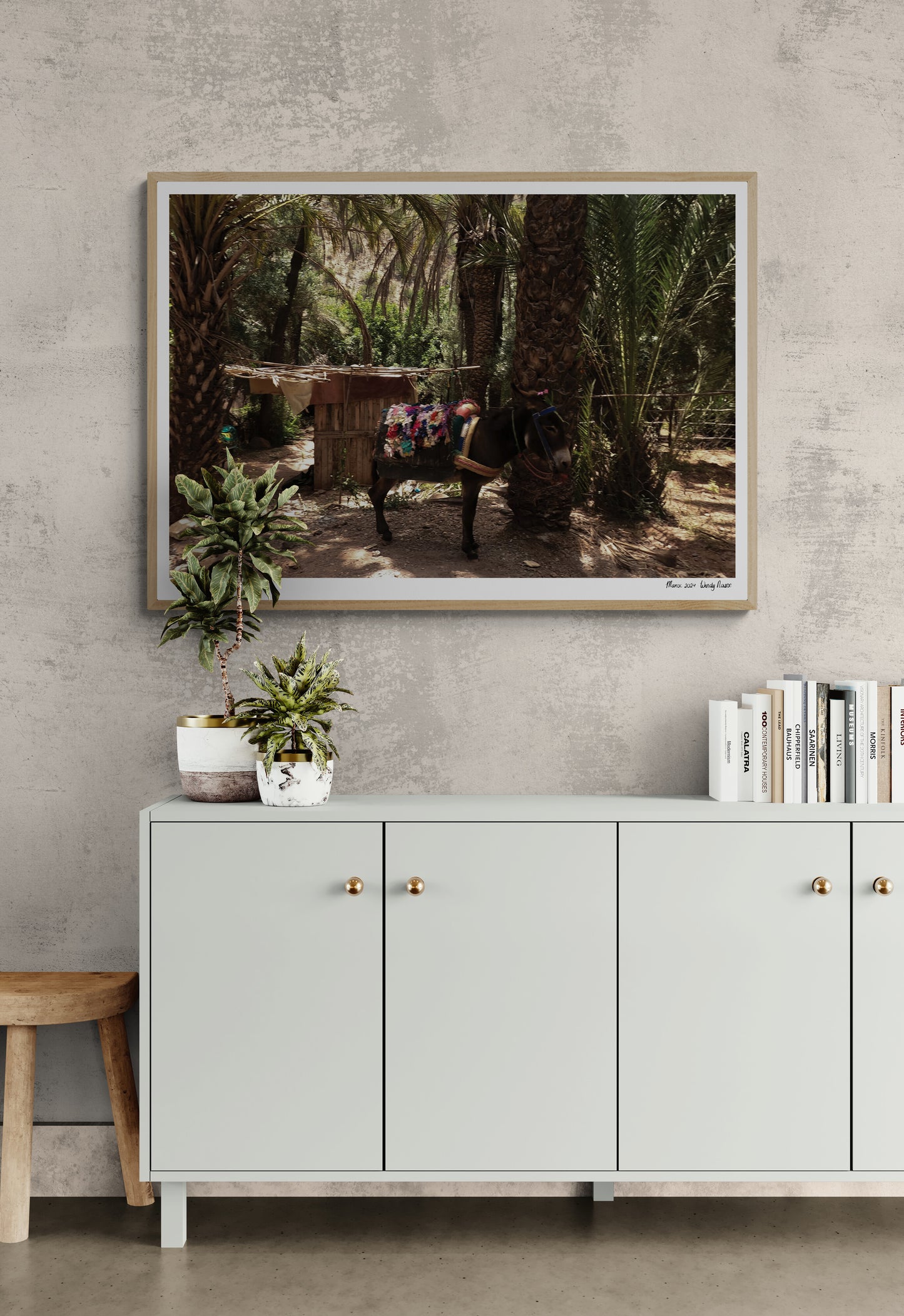 Traditional donkey |  Framed & Mounted Print