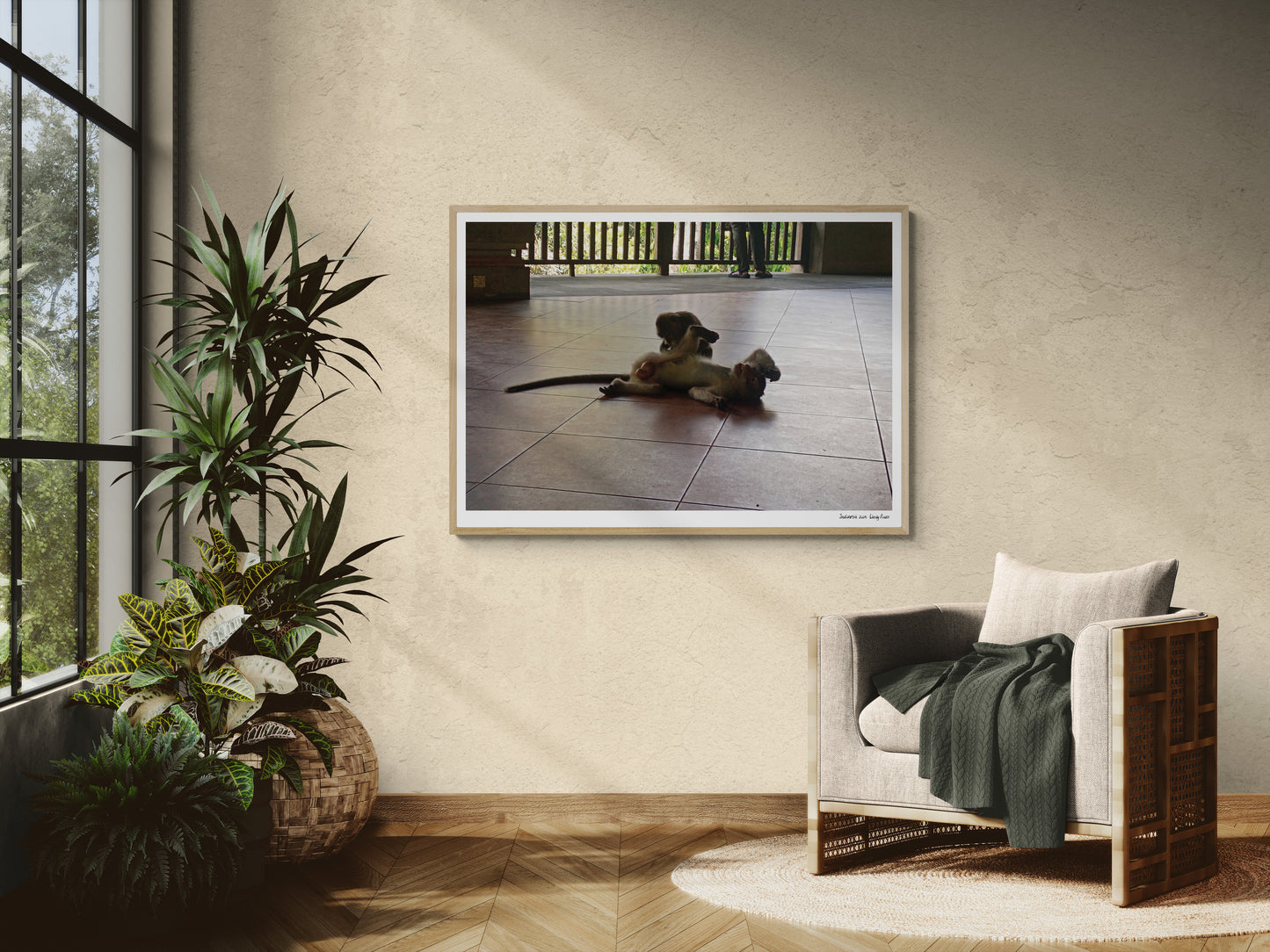 Monkeys |  Framed & Mounted Print