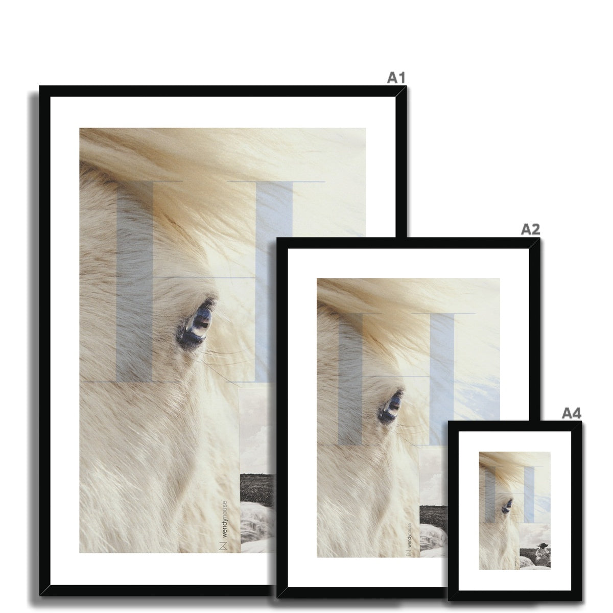 Home |  Framed & Mounted Print